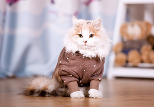 Hoodie | Cat Sweater