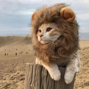 Lion Mane | Cat Costume