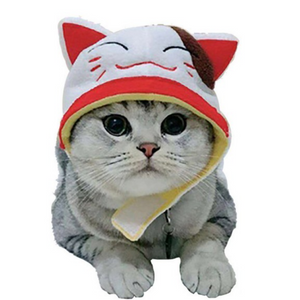 Maneki Neko | Cat Costume