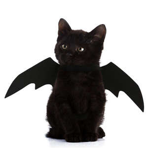Bat Wings | Cat Costume