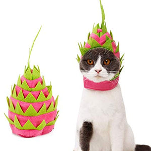 Dragon Fruit Hat | Cat Costume