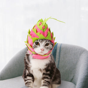 Multi Color Pet Straw Hat Dog Cat  Pet Cute Holiday Party Hat Costume Pitaya Fruit Design Accessories