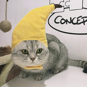 Banana Hat | Cat Costume