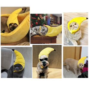 Banana Hat | Cat Costume