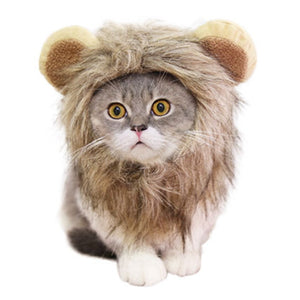 Lion Mane | Cat Costume
