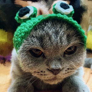 Knitted Frog Hat | Cat Costume