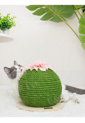 Cat Scratching Board Prickly Pear