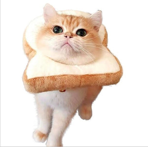 Cat Breading | Cat Costume