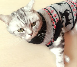 Christmas Cat Sweaters - Only Cat Shirts