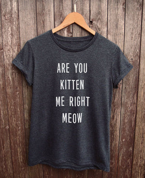 are you kitten me right now shirt gray - onlycatshirts 