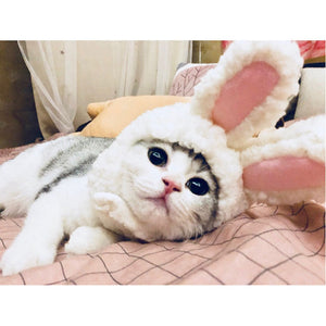 Bunny Ears | Cat Costume