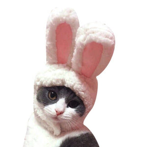 Bunny Ears | Cat Costume